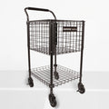 Brute 325 Teaching Cart