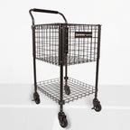 Brute 325 Teaching Cart