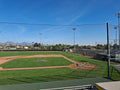 Netting